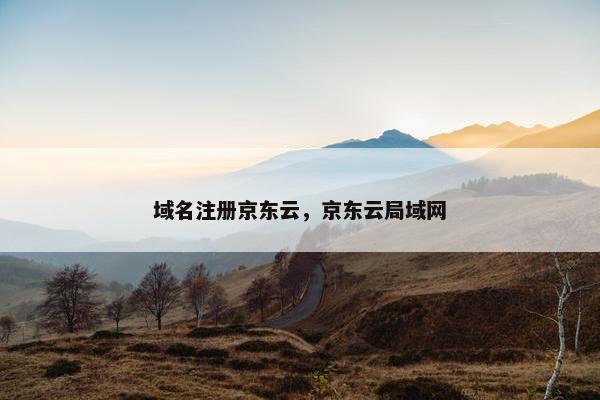 域名注册京东云，京东云局域网