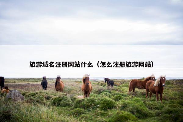 旅游域名注册网站什么（怎么注册旅游网站）