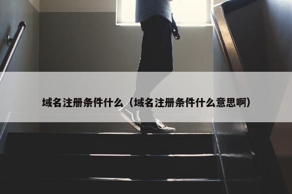 域名注册条件什么（域名注册条件什么意思啊）