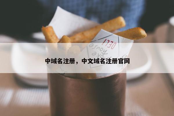 中域名注册，中文域名注册官网
