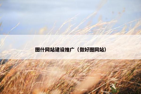图什网站建设推广（做好图网站）