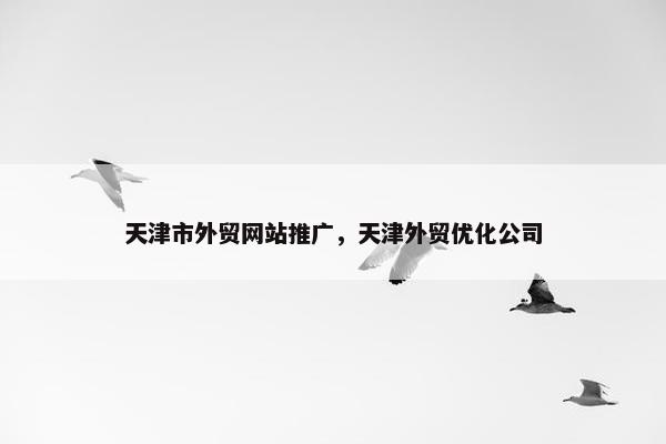 天津市外贸网站推广，天津外贸优化公司