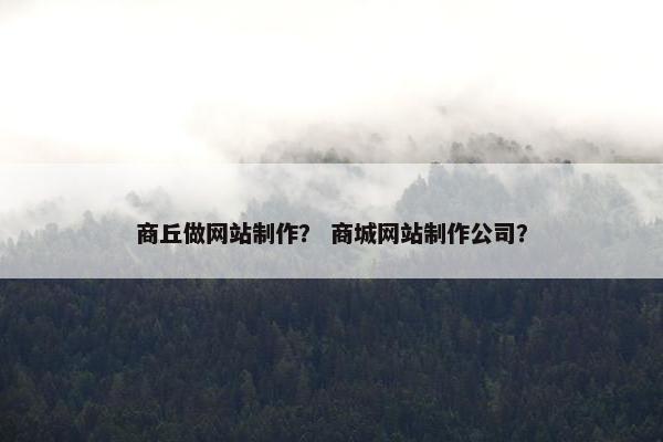 商丘做网站制作？ 商城网站制作公司？