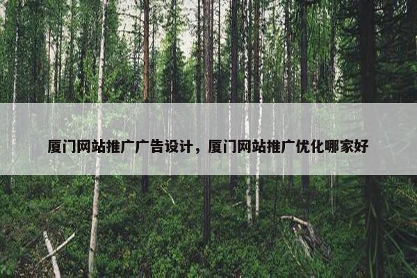 厦门网站推广广告设计，厦门网站推广优化哪家好
