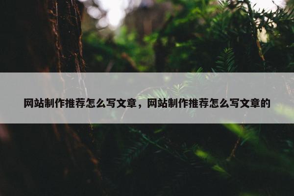 网站制作推荐怎么写文章，网站制作推荐怎么写文章的