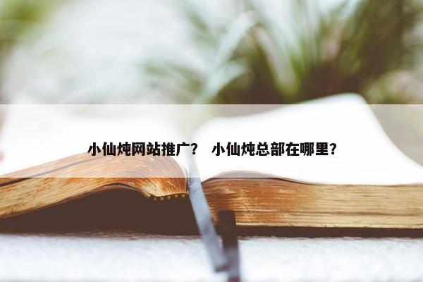 小仙炖网站推广？ 小仙炖总部在哪里？