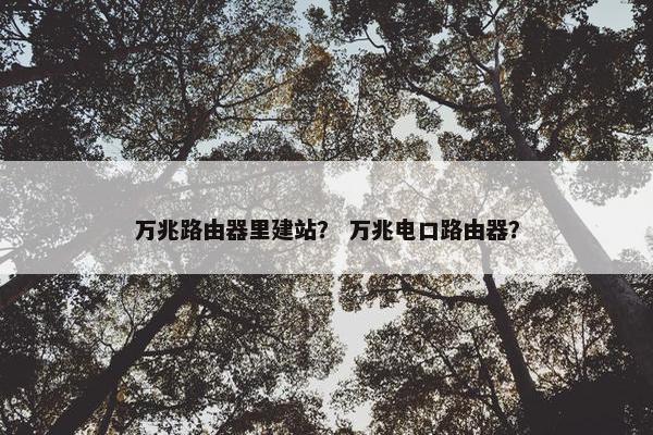 万兆路由器里建站？ 万兆电口路由器？