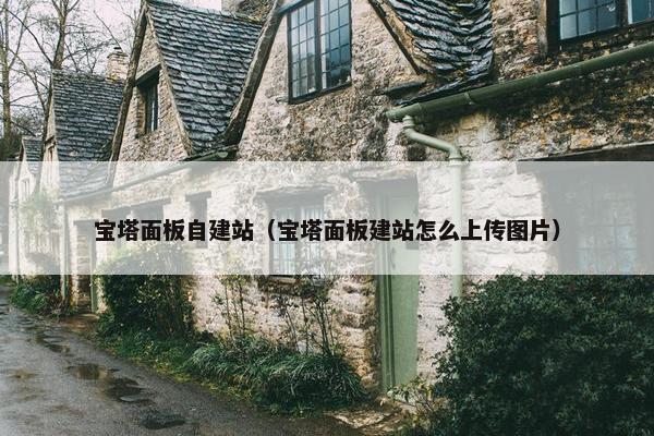 宝塔面板自建站（宝塔面板建站怎么上传图片）