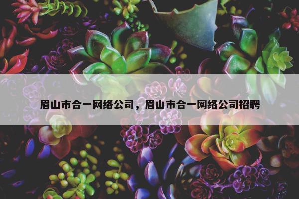 眉山市合一网络公司，眉山市合一网络公司招聘