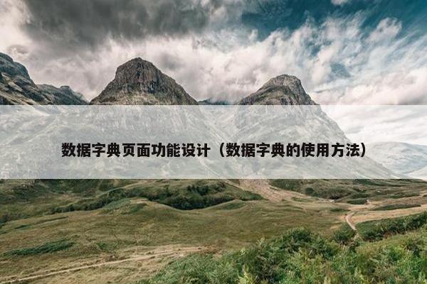 数据字典页面功能设计（数据字典的使用方法）