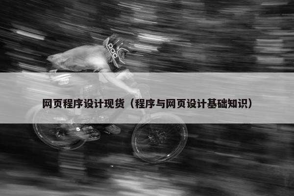 网页程序设计现货（程序与网页设计基础知识）