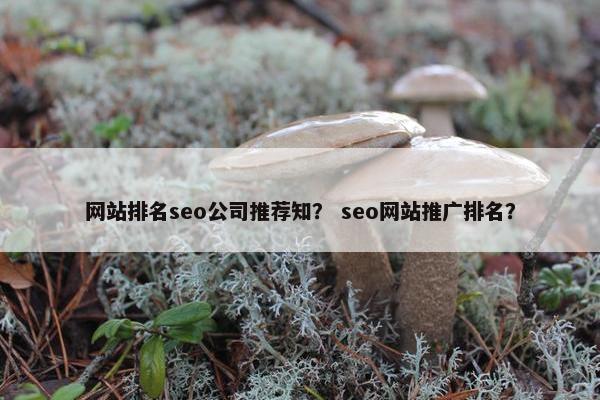 网站排名seo公司推荐知？ seo网站推广排名？