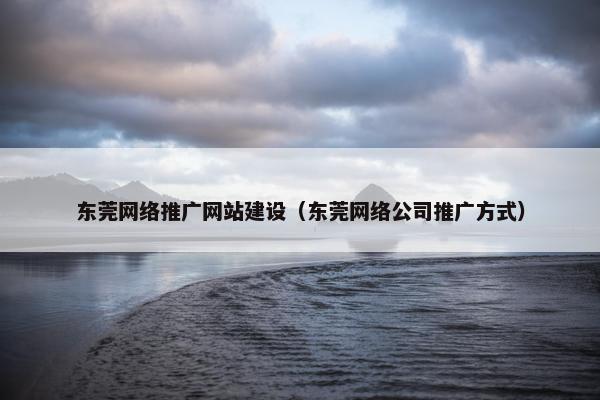 东莞网络推广网站建设（东莞网络公司推广方式）
