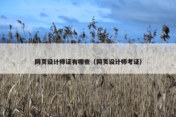 网页设计师证有哪些（网页设计师考证）