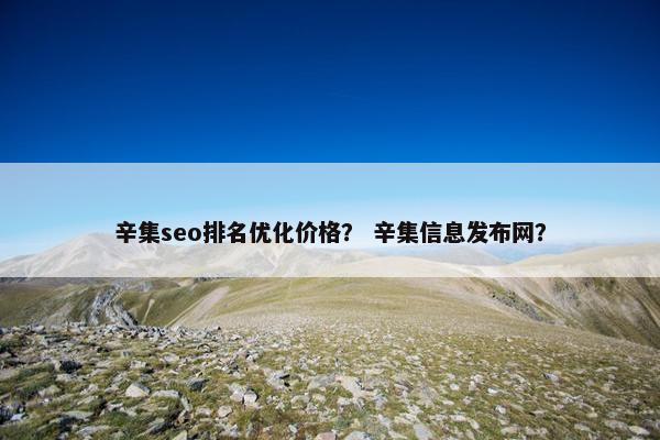 辛集seo排名优化价格？ 辛集信息发布网？