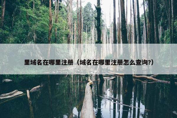 里域名在哪里注册（域名在哪里注册怎么查询?）