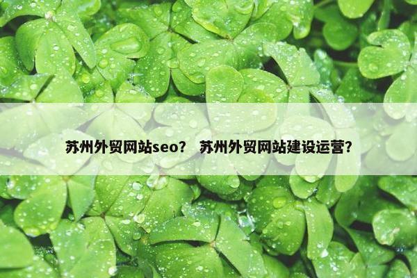 苏州外贸网站seo？ 苏州外贸网站建设运营？