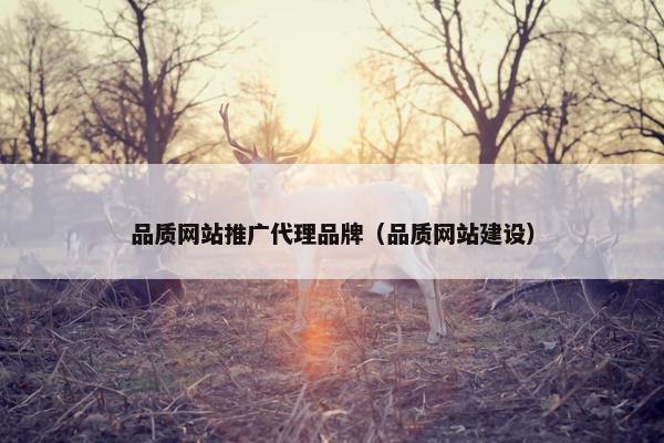 品质网站推广代理品牌（品质网站建设）