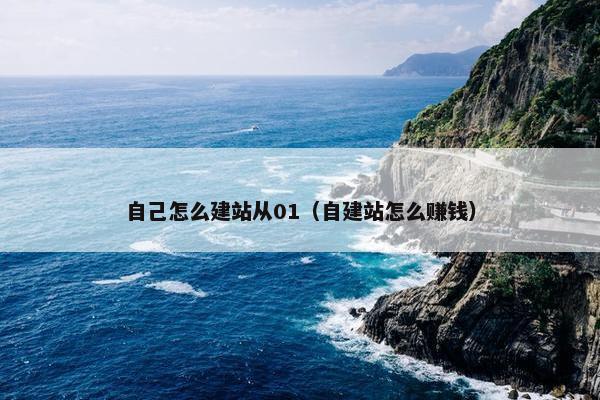自己怎么建站从01（自建站怎么赚钱）
