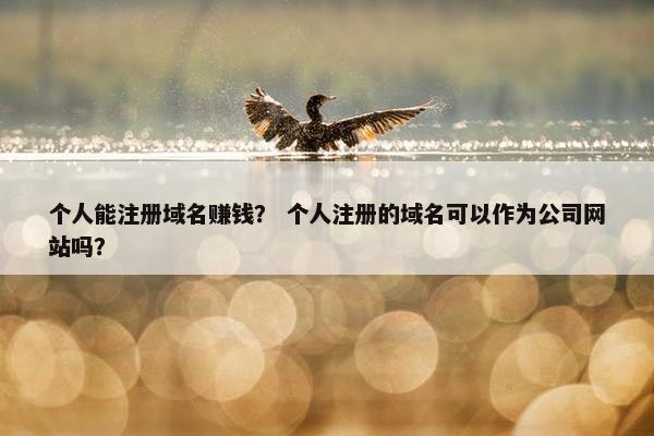 个人能注册域名赚钱？ 个人注册的域名可以作为公司网站吗？