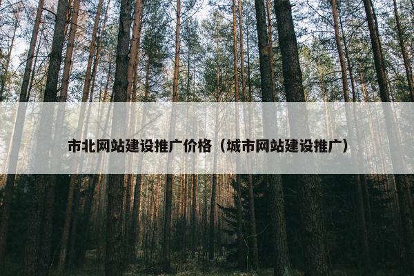 市北网站建设推广价格（城市网站建设推广）