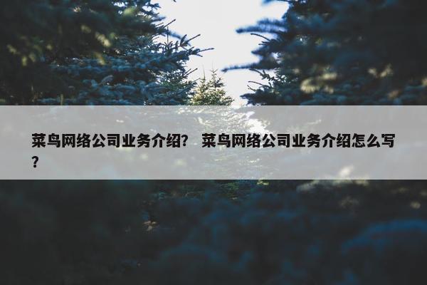 菜鸟网络公司业务介绍？ 菜鸟网络公司业务介绍怎么写？