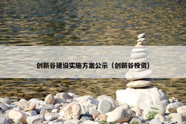 创新谷建设实施方案公示（创新谷投资）