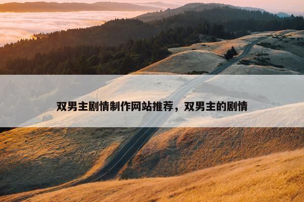 双男主剧情制作网站推荐，双男主的剧情