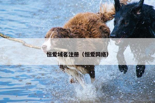 恒爱域名注册（恒爱网络）