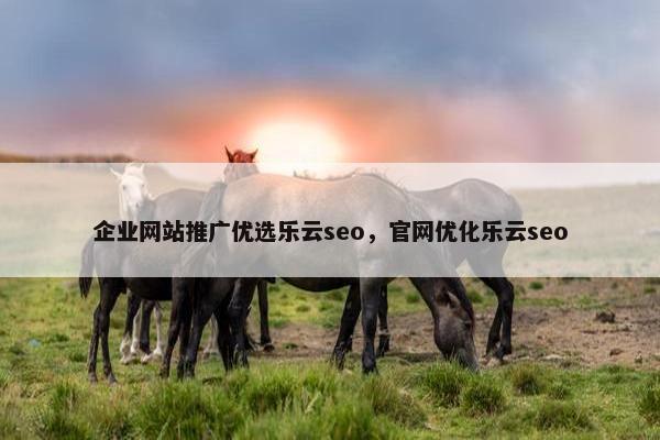 企业网站推广优选乐云seo，官网优化乐云seo