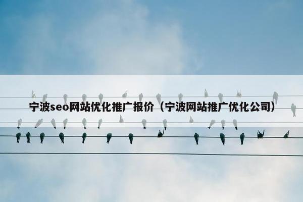 宁波seo网站优化推广报价（宁波网站推广优化公司）