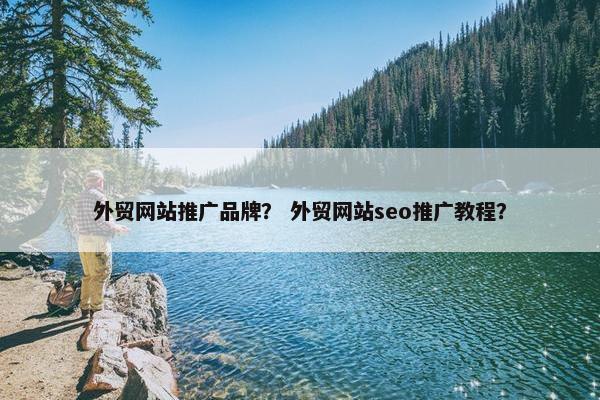 外贸网站推广品牌？ 外贸网站seo推广教程？