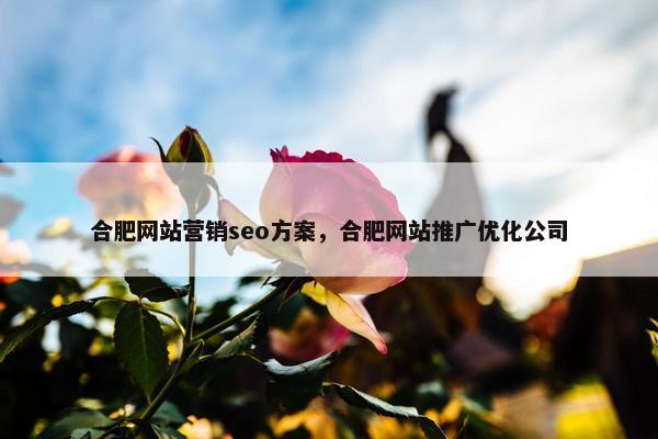 合肥网站营销seo方案，合肥网站推广优化公司