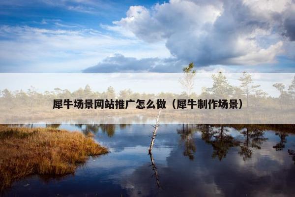 犀牛场景网站推广怎么做（犀牛制作场景）