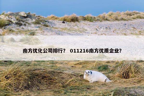 南方优化公司排行？ 011216南方优质企业？