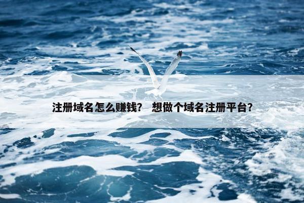 注册域名怎么赚钱？ 想做个域名注册平台？