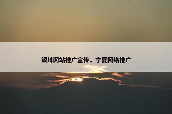 银川网站推广宣传，宁夏网络推广
