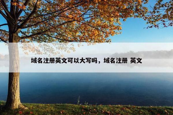 域名注册英文可以大写吗，域名注册 英文