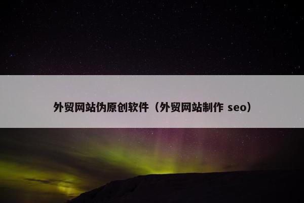 外贸网站伪原创软件（外贸网站制作 seo）