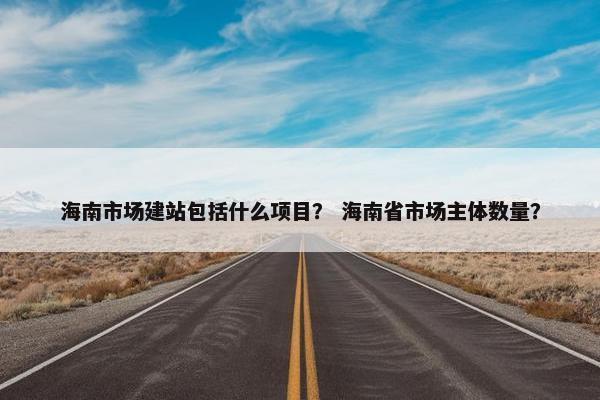 海南市场建站包括什么项目？ 海南省市场主体数量？