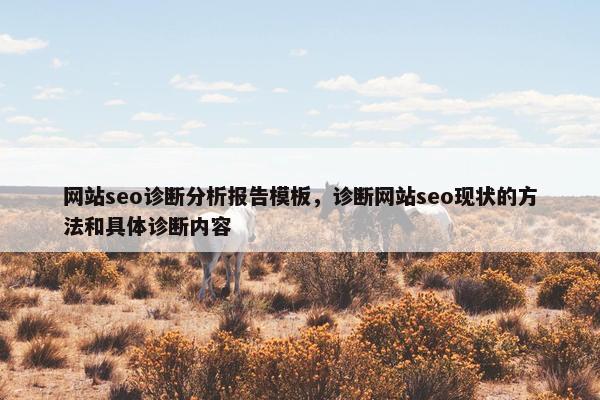 网站seo诊断分析报告模板，诊断网站seo现状的方法和具体诊断内容