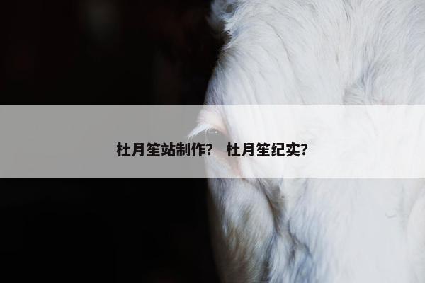 杜月笙站制作？ 杜月笙纪实？