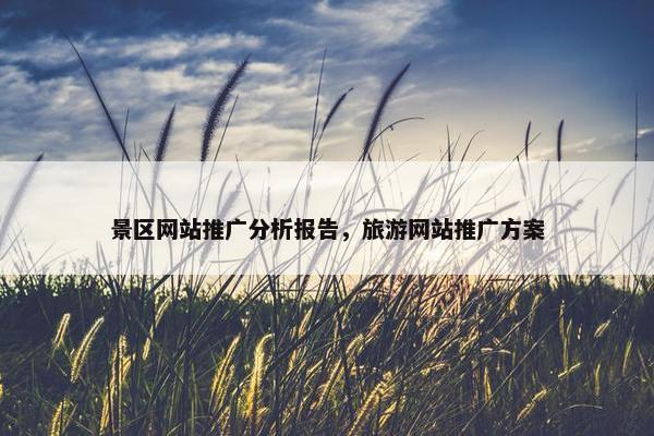 景区网站推广分析报告，旅游网站推广方案