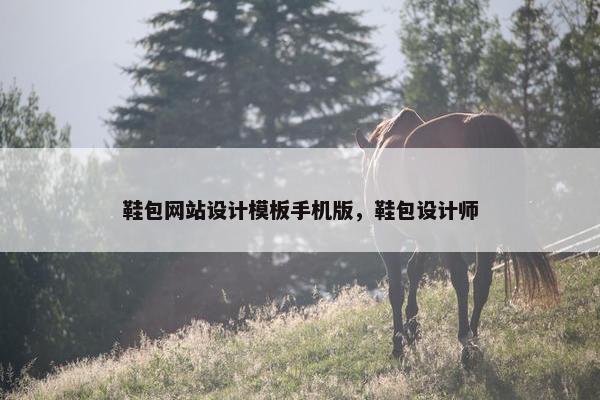 鞋包网站设计模板手机版，鞋包设计师