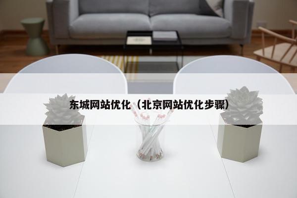 东城网站优化（北京网站优化步骤）