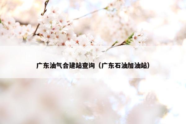 广东油气合建站查询（广东石油加油站）