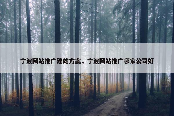 宁波网站推广建站方案，宁波网站推广哪家公司好