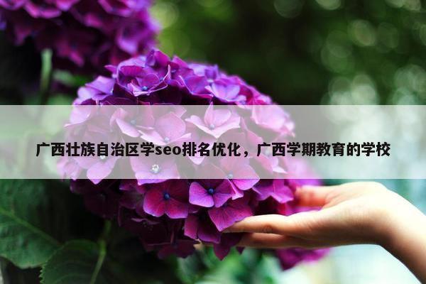 广西壮族自治区学seo排名优化，广西学期教育的学校