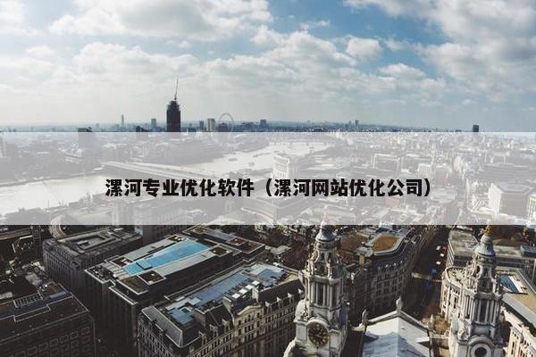 漯河专业优化软件（漯河网站优化公司）