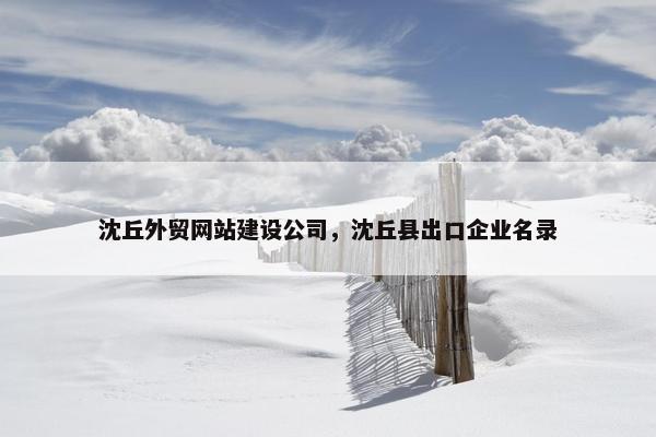 沈丘外贸网站建设公司，沈丘县出口企业名录